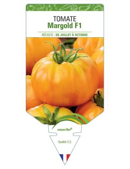 TOMATE MARGOLD F1