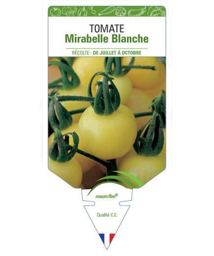 TOMATE MIRABELLE BLANCHE
