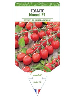 TOMATE NAOMI F1