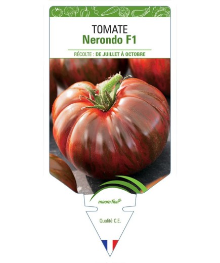 TOMATE NERONDO F1