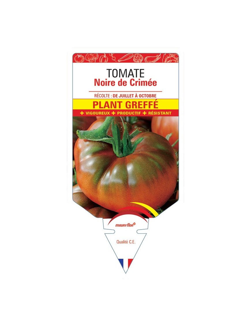 TOMATE NOIRE DE CRIMÉE F1 PLANT GREFFÉ