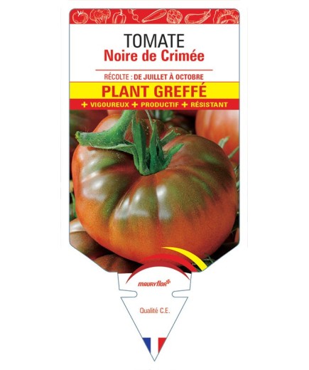 TOMATE NOIRE DE CRIMÉE F1 PLANT GREFFÉ