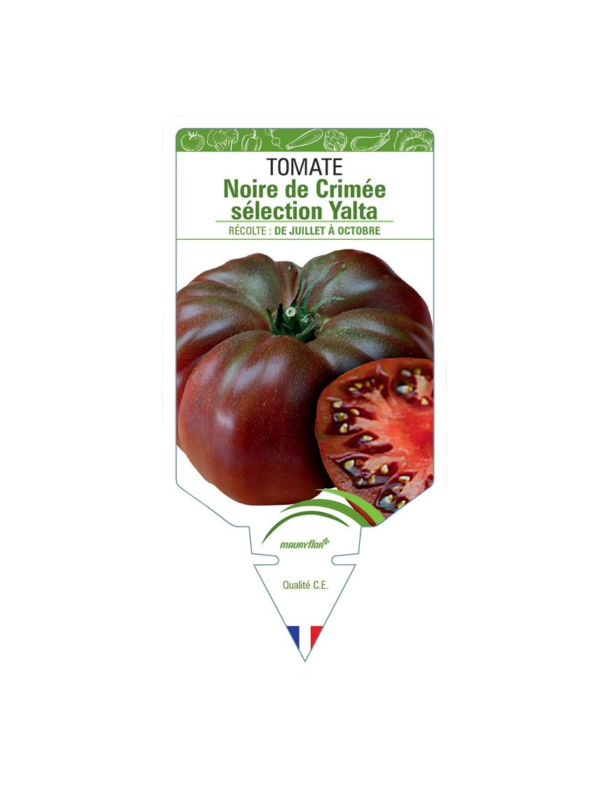 TOMATE NOIRE DE CRIMÉE SÉLECTION YALTA