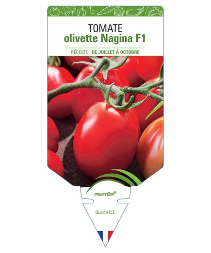 TOMATE OLIVETTE NAGINA F1