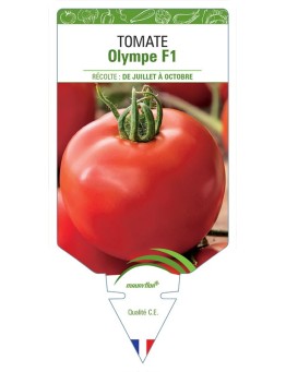 TOMATE OLYMPE F1