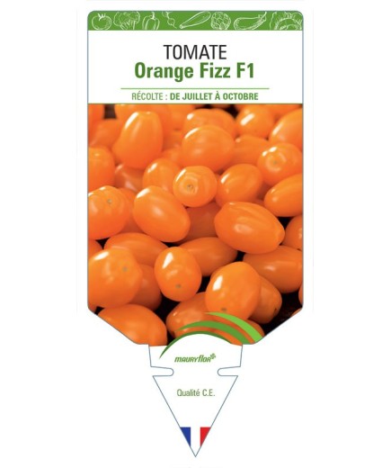 TOMATE ORANGE FIZZ F1