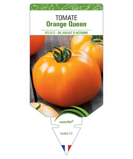 TOMATE ORANGE QUEEN