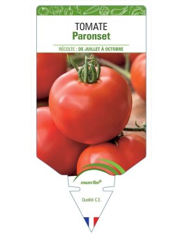 TOMATE PARONSET