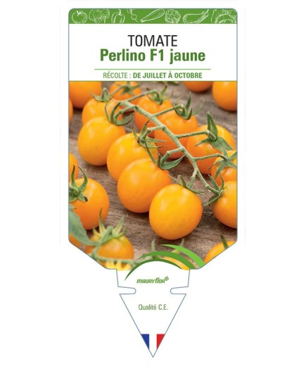 TOMATE PERLINO F1 JAUNE