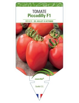 TOMATE PICCADILLY F1