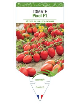 TOMATE PIXEL F1