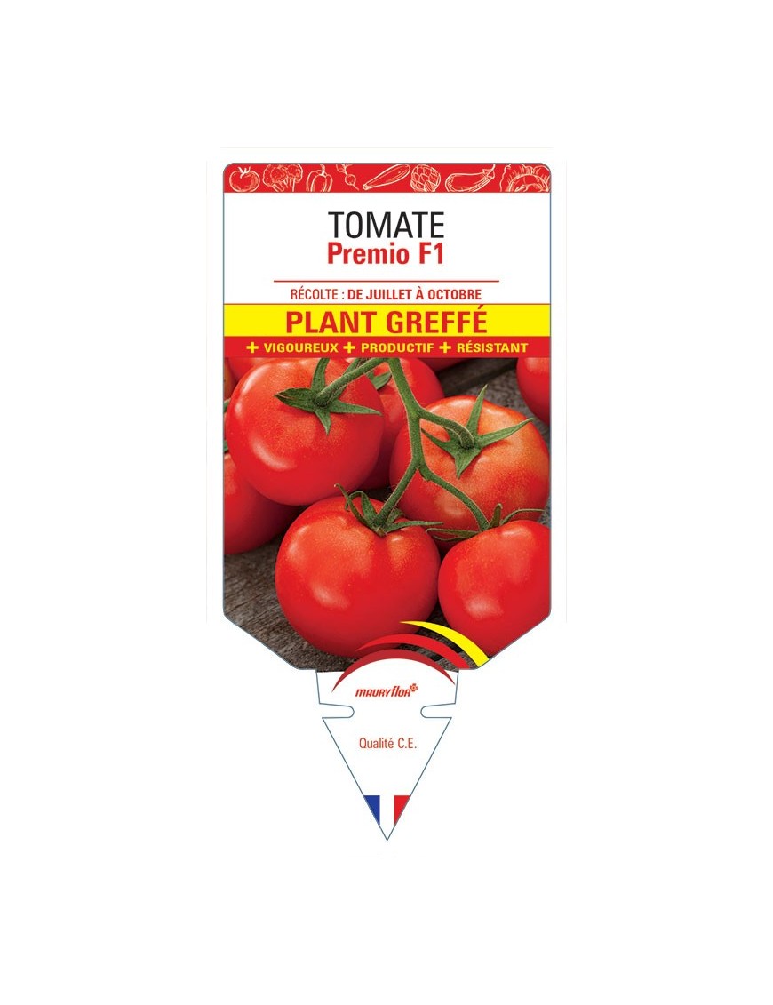 TOMATE PREMIO F1 PLANT GREFFÉ