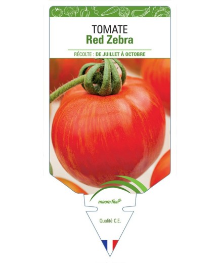 TOMATE RED ZEBRA