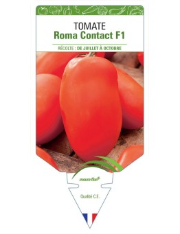 TOMATE ROMA CONTACT F1