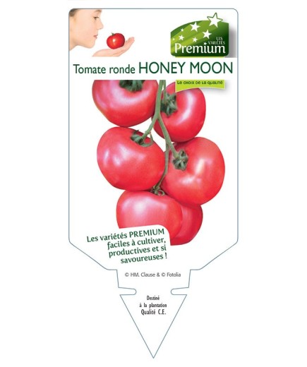 TOMATE RONDE HONEY MOON
