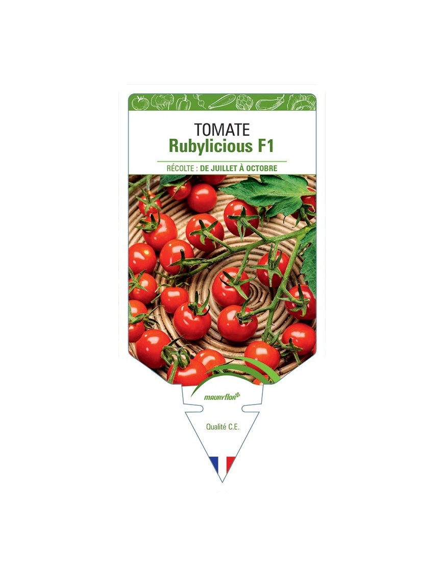 TOMATE RUBYLICIOUS F1
