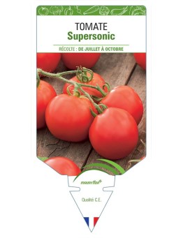 TOMATE SUPERSONIC