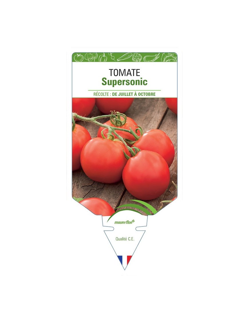 TOMATE SUPERSONIC