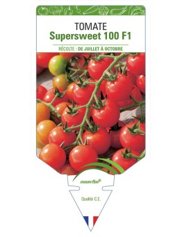 TOMATE SUPERSWEET 100 F1