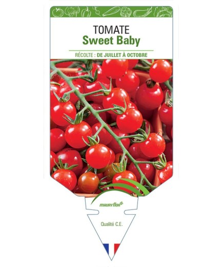 TOMATE SWEET BABY