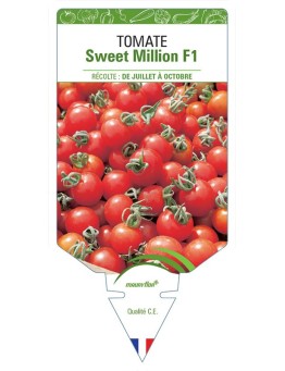 TOMATE SWEET MILLION F1