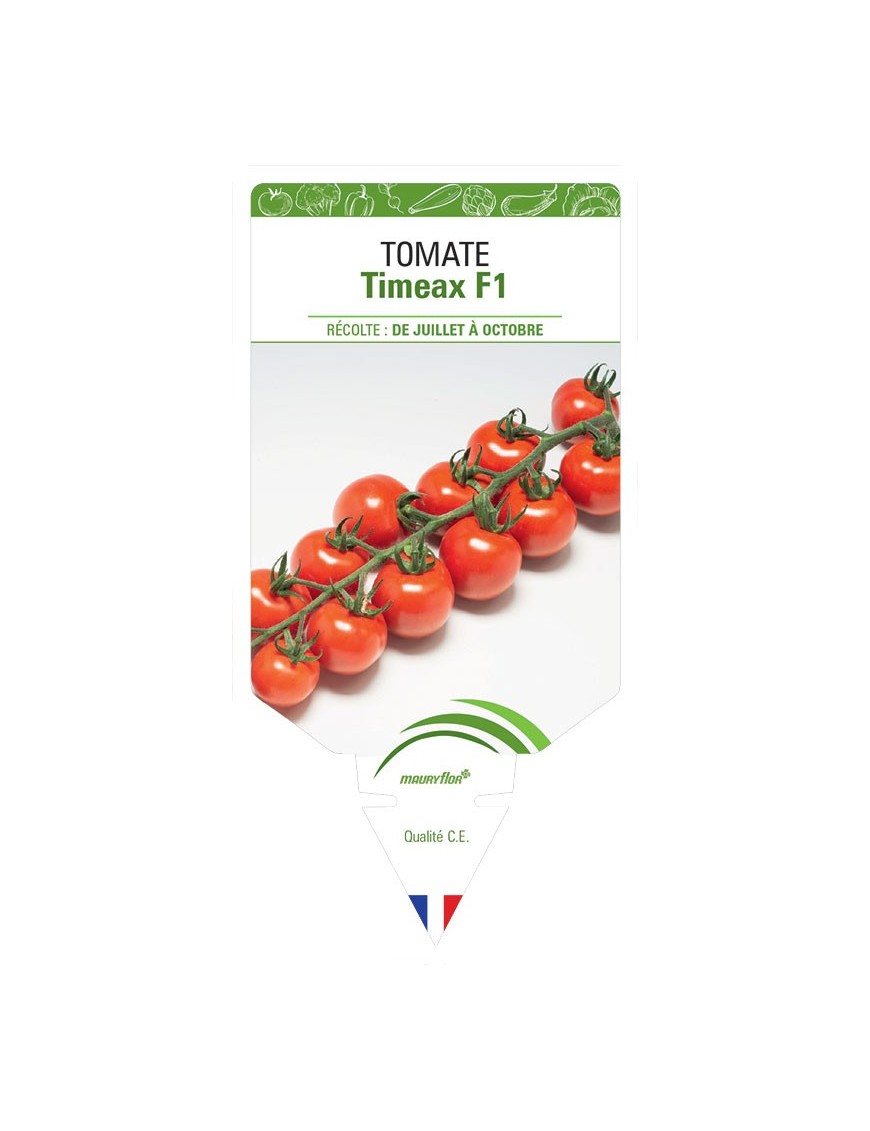 TOMATE TIMEAX F1