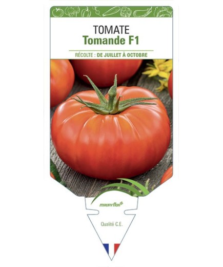 TOMATE TOMANDE F1