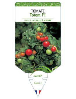 TOMATE TOTEM F1
