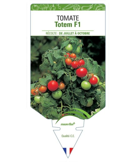 TOMATE TOTEM F1