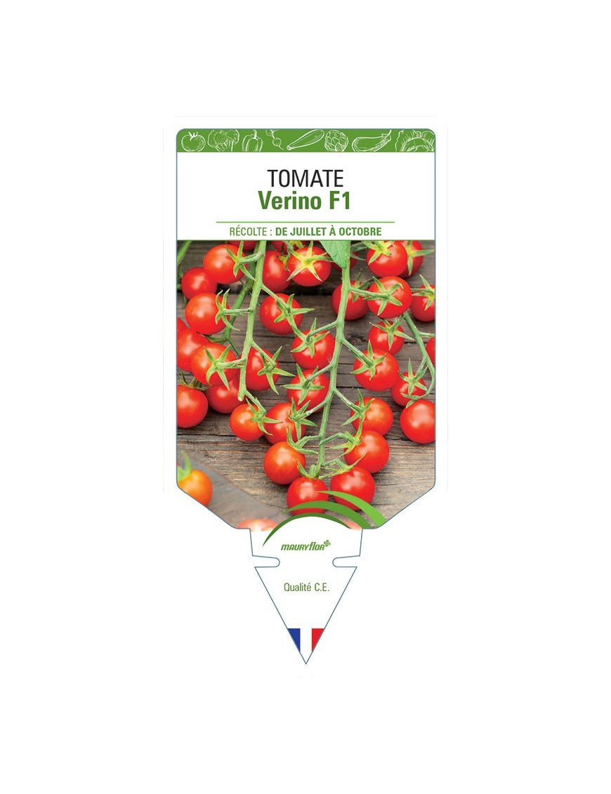 TOMATE VERINO F1