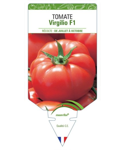 TOMATE VIRGILIO F1