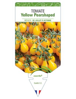 TOMATE YELLOW PEARSHAPED
