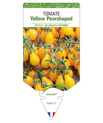 TOMATE YELLOW PEARSHAPED