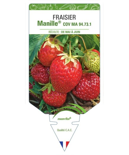 FRAISIER MANILLE® COV MA 94.73.1