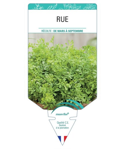 RUE
