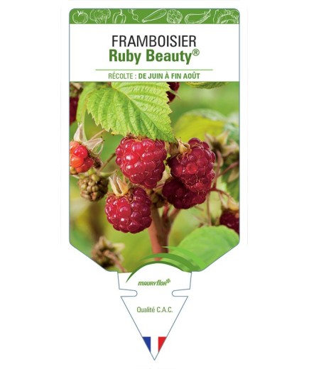 FRAMBOISIER RUBY BEAUTY®