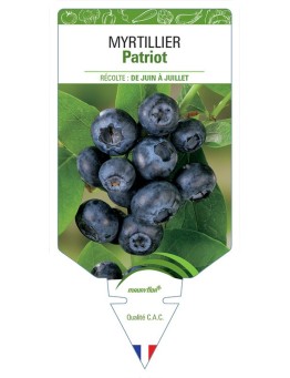 MYRTILLIER PATRIOT
