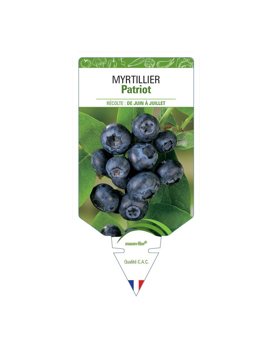 MYRTILLIER PATRIOT