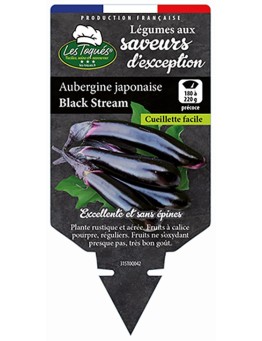 AUBERGINE JAPONAISE BLACK STREAM