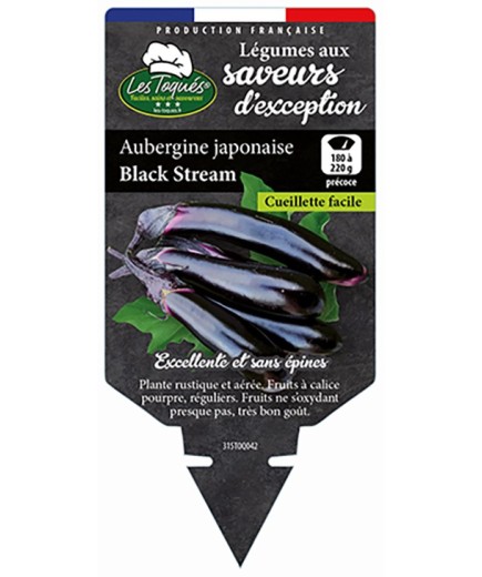 AUBERGINE JAPONAISE BLACK STREAM