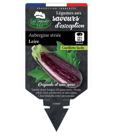 AUBERGINE STRIÉE LEIRE