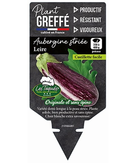 AUBERGINE STRIÉE LEIRE PLANT GREFFÉ