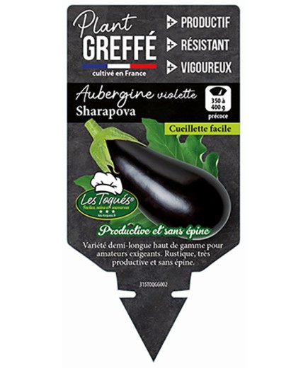 AUBERGINE VIOLETTE SHARAPOVA  PLANT GREFFÉ