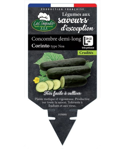 CONCOMBRE DEMI-LONG CORINTO TYPE NOA