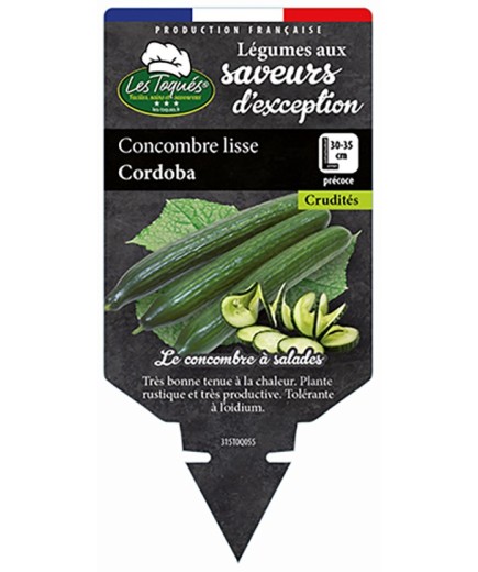 CONCOMBRE LISSE CORDOBA