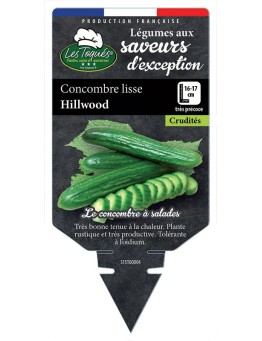 CONCOMBRE LISSE HILLWOOD