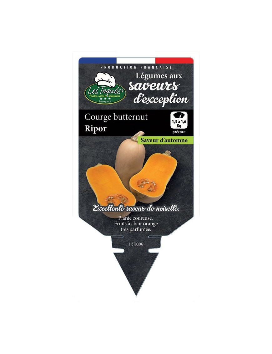 COURGE BUTTERNUT RIPOR