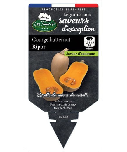 COURGE BUTTERNUT RIPOR