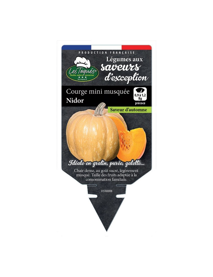 COURGE MINI MUSQUÉE NIDOR