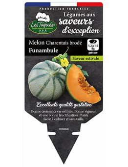 MELON CHARENTAIS BRODÉ FUNAMBULE